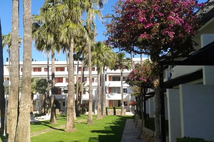 Camping Village Club Tamarindos Communauté de Valence - Peñiscola visuel 5/7