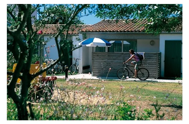 Camping Village Vacances La Salicorne Poitou-Charentes - Ars-en-Ré visuel 2/8