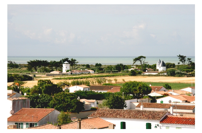 Village Vacances La Salicorne Poitou-Charentes - Ars-en-Ré visuel 3/8