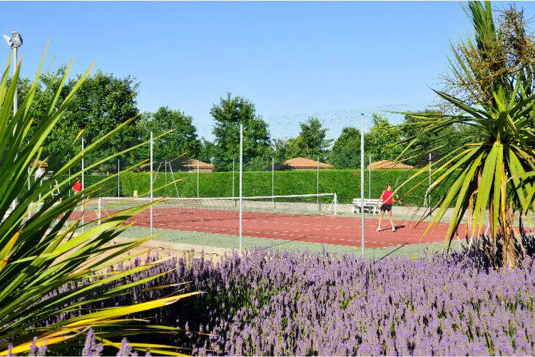 Camping Village Vacances Vendée Océan Pays de Loire - Longeville sur Mer visuel 4/8