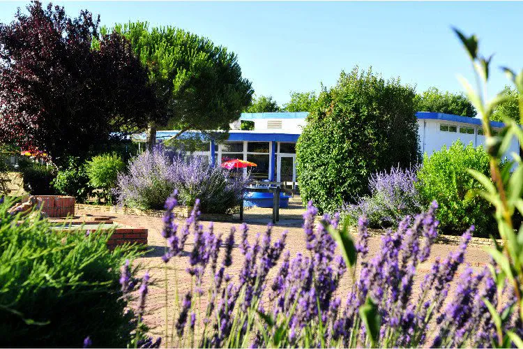 Camping Village Vacances Vendée Océan Pays de Loire - Longeville sur Mer visuel 8/8