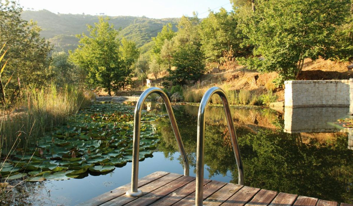 Vinha Da Manta Norte - Faia visuel 1/4