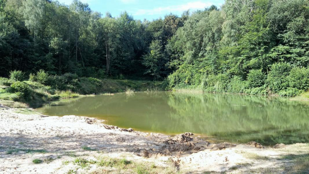 Wingst Basse-Saxe - wingst visuel 3/4