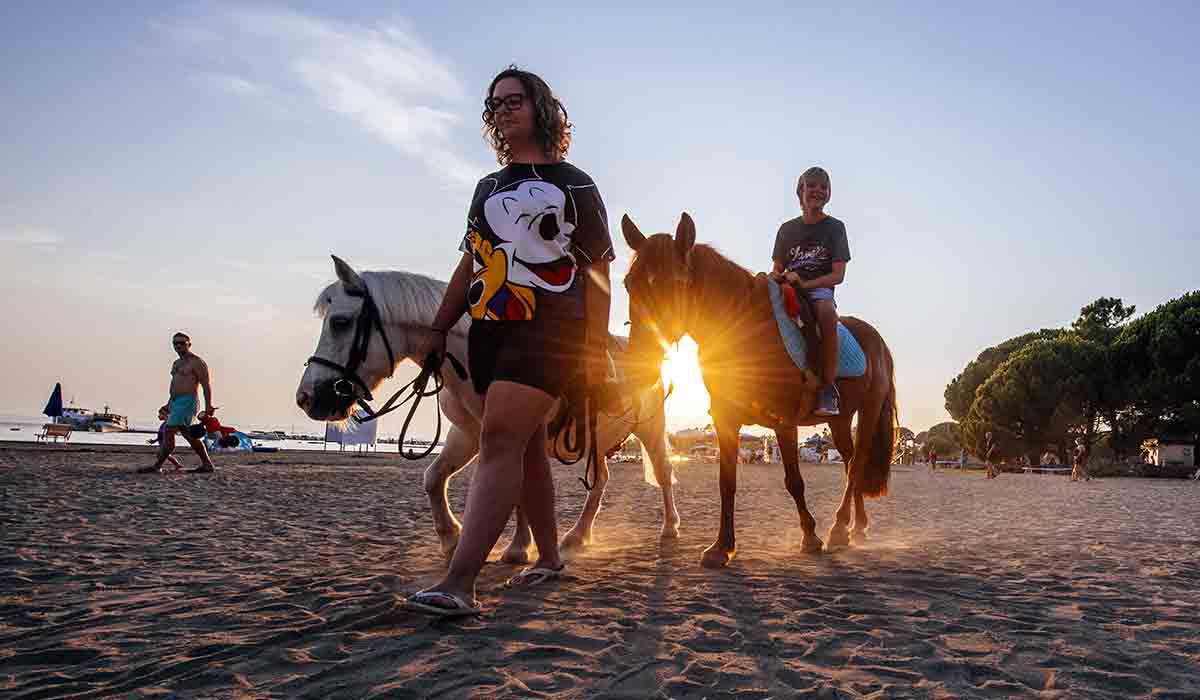 Zaton Holiday Resort Dalmatie - Zadar visuel 21/29