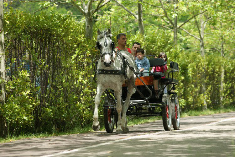 Zumaia Pays Basque espagnol - Zumaia visuel 5/9 Zumaia Pays Basque espagnol - Zumaia visuel 5/9