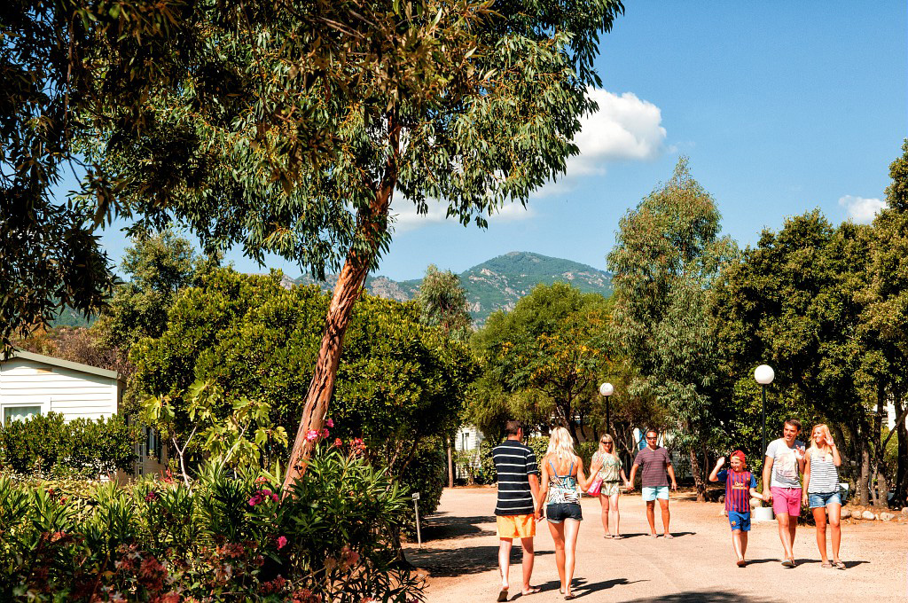 Acqua e Sole Corse - Sainte-Lucie-de-Porto-Vecchio visuel 15/15
