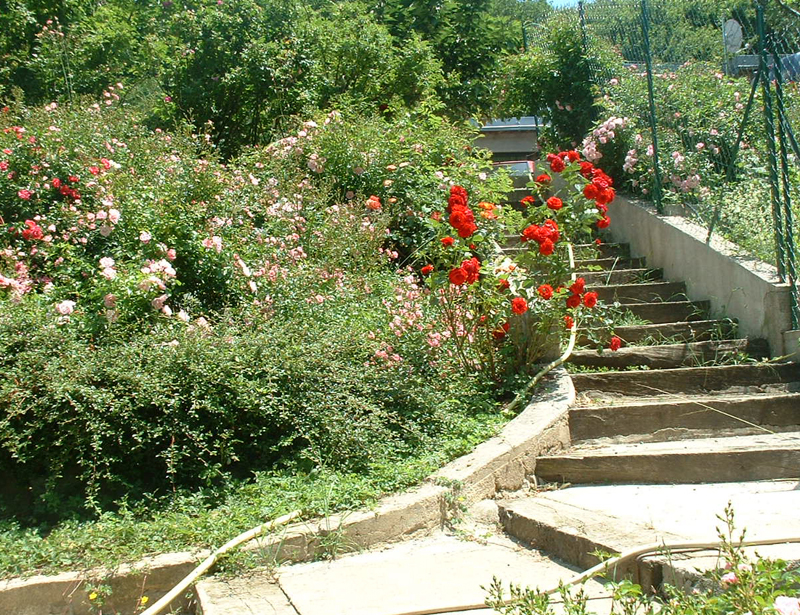 Aire Naturelle de Caneyrac Languedoc-Roussillon - Riols visuel 2/6 Aire Naturelle de Caneyrac Languedoc-Roussillon - Riols visuel 2/6