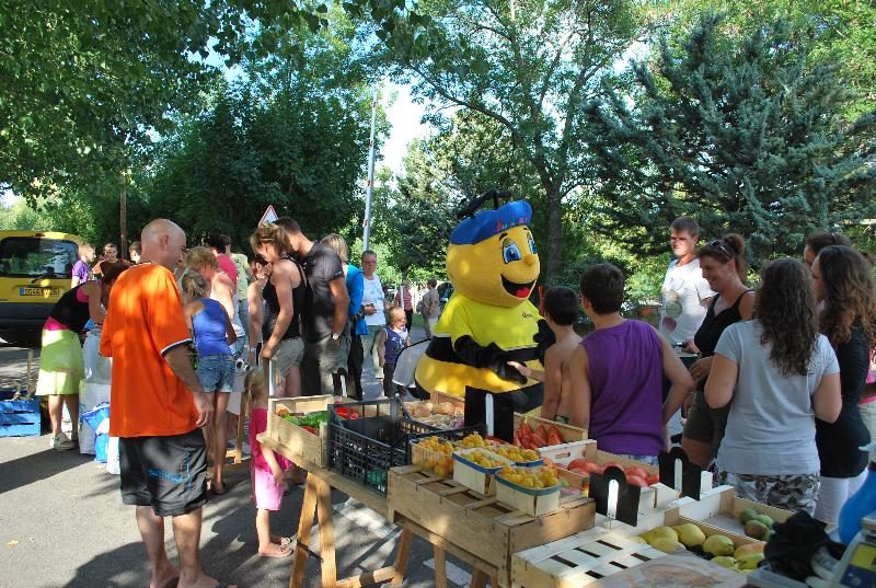 Alpes Dauphiné Provence-Alpes-Côte d'Azur - Gap visuel 3/10