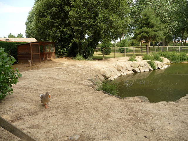 Au Bon Accueil Pays de Loire - Brétignolles-sur-Mer visuel 3/3