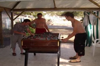 Camping Au Soir d'été Pays de Loire - Mesquer visuel 8/11