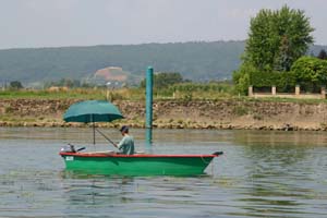 Aux Rives du Soleil Rhône-Alpes - Pont-de-Vaux visuel 8/10