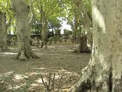 Camping Bagatelle Provence-Alpes-Côte d'Azur - Avignon visuel 3/4