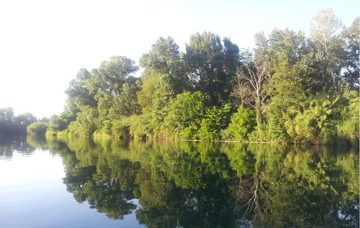 Camping Belle-rive Languedoc-Roussillon - Montfrin visuel 9/10