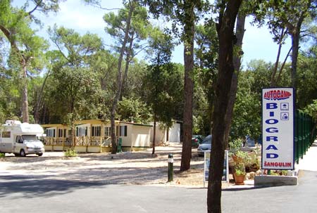 Biograd Dalmatie - Biograd visuel 2/8