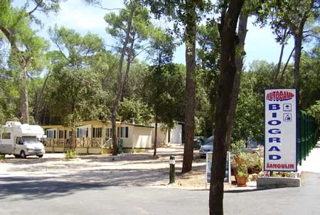 Camping Biograd Dalmatie - Biograd visuel 3/8