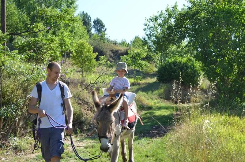 Camping Bivouac Nature Languedoc-Roussillon - Saint-Jean-du-Gard visuel 11/12