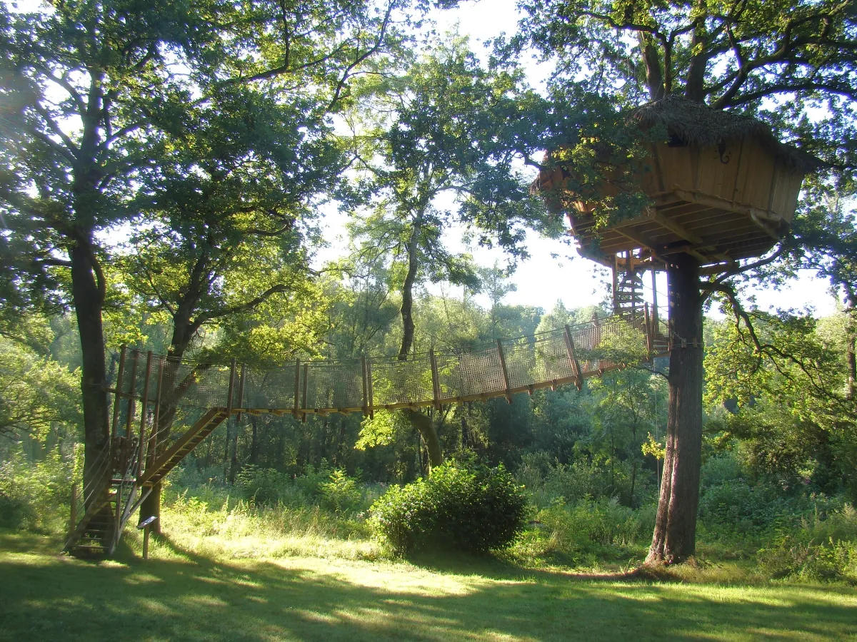 Camping Cabanes des Grands Lacs Franche-Comté - Chassey-lès-Montbozon visuel 6/9