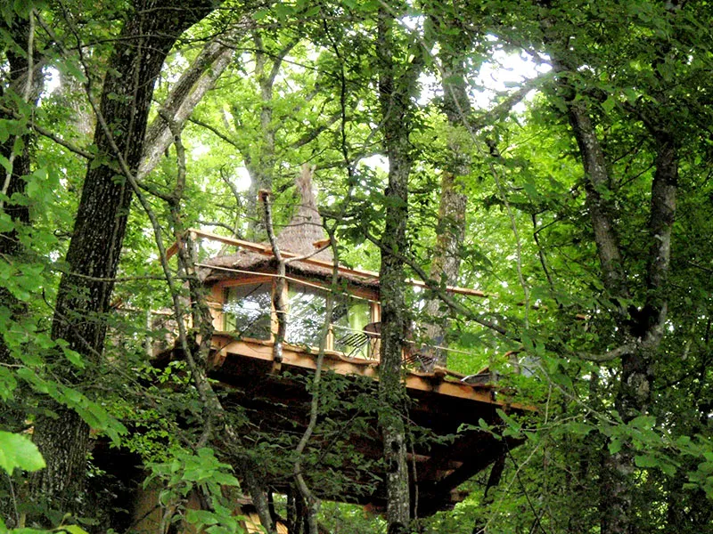 Camping Cabanes du Bois Clair Franche-Comté - Ranchot visuel 3/5