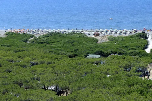 Camping California Village Toscane - Montalto di Castro
 visuel 4/5