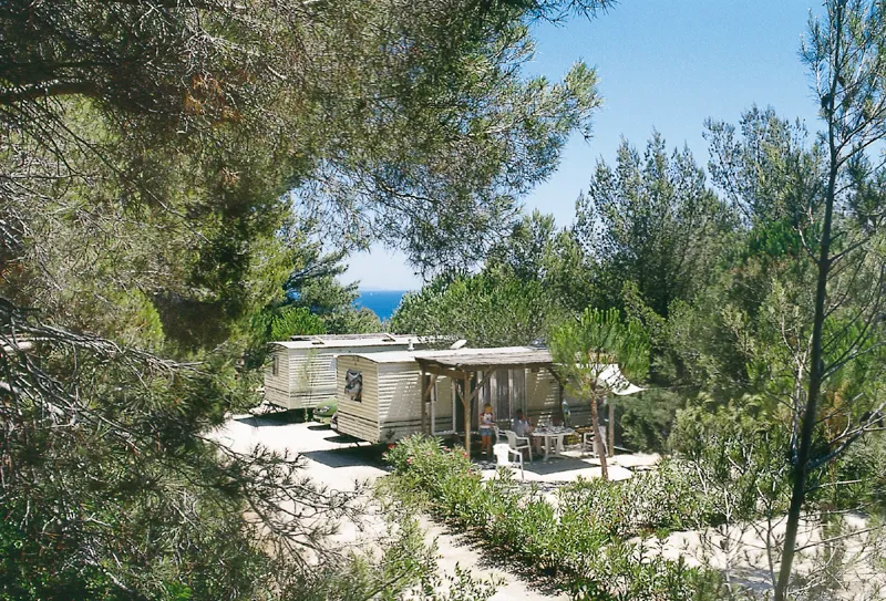Camping Camp du Domaine Provence-Alpes-Côte d'Azur - Bormes-les-Mimosas visuel 2/8