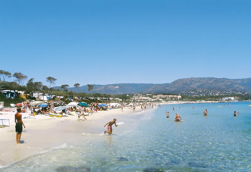 Camping Camp du Domaine Provence-Alpes-Côte d'Azur - Bormes-les-Mimosas visuel 3/8
