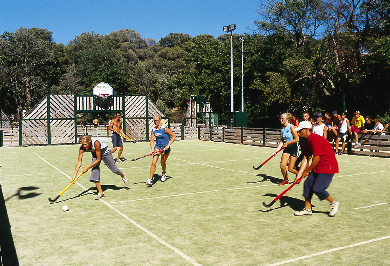 Camp du Domaine Provence-Alpes-Côte d'Azur - Bormes-les-Mimosas visuel 6/8
