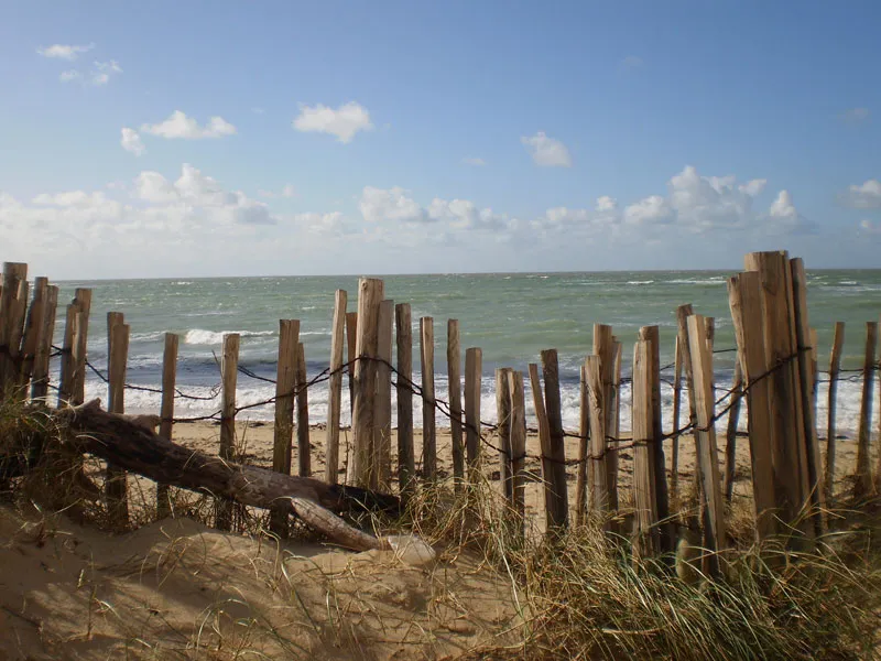Camping Campiotel des Dunes Poitou-Charentes - Ars-en-Ré visuel 2/7
