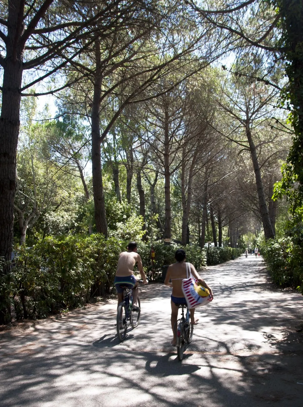 Camping Campo dei Fiori Toscane - Vada visuel 7/10