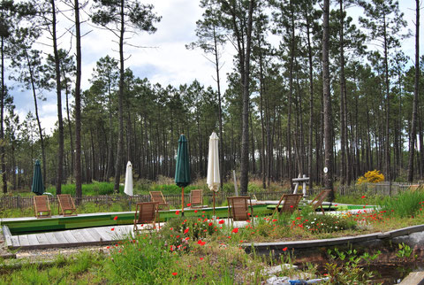 Cap Cabane Aquitaine - Captieux visuel 3/9