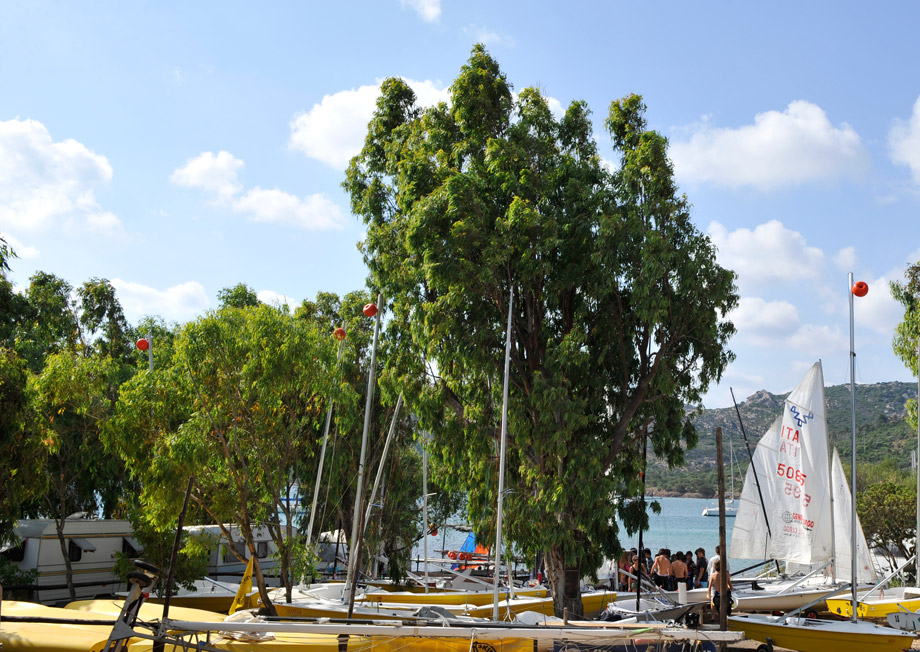 Capo d'Orso Sardaigne - Palau visuel 9/10