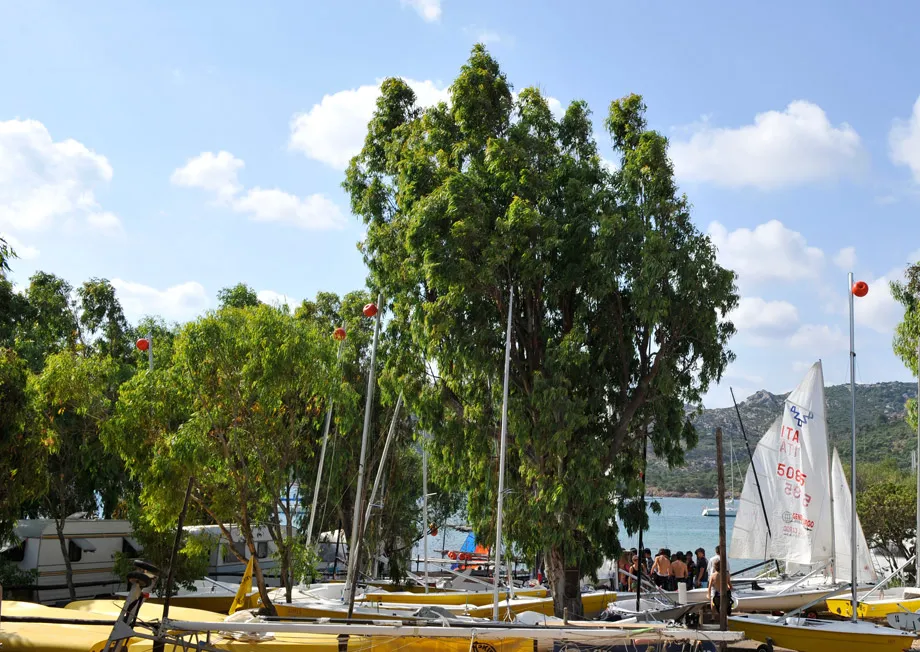 Camping Capo d'Orso Sardaigne - Palau visuel 10/10