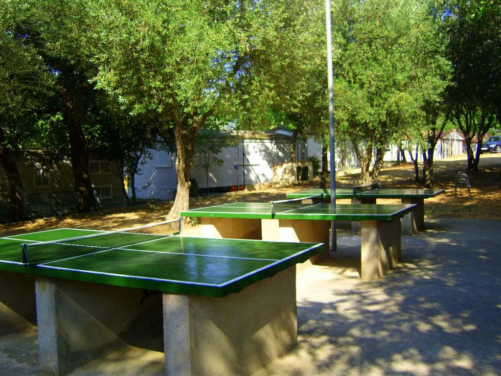 Camping Castell d'Aro Costa Brava - Platja d'Aro visuel 9/10
