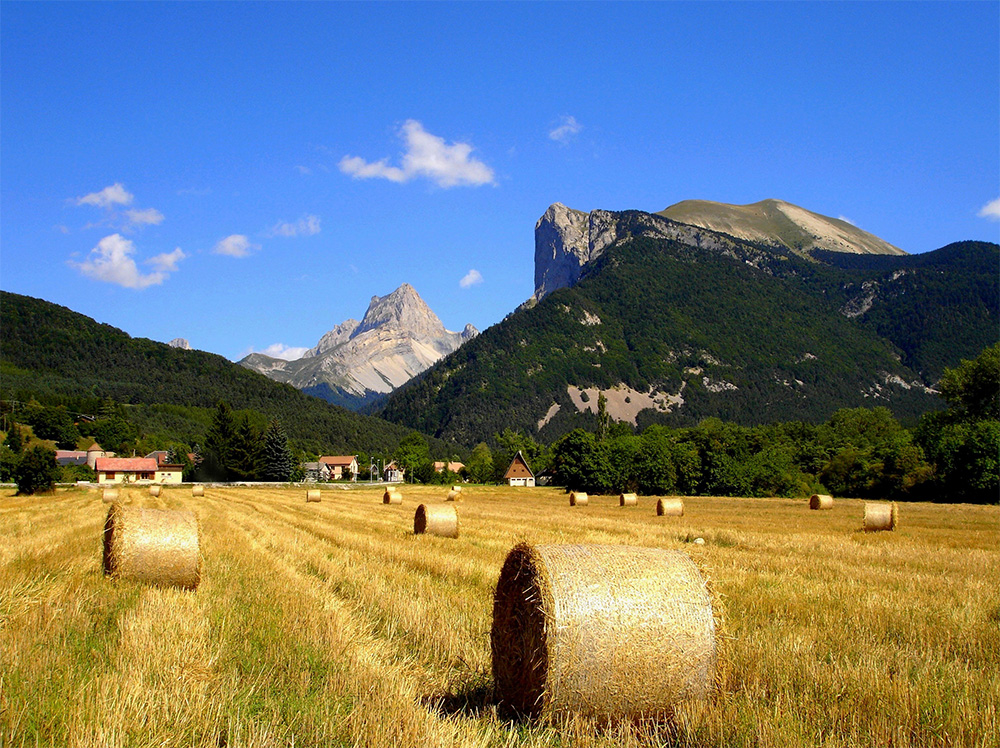 Champ la Chèvre Rhône-Alpes - Lus-la-Croix-Haute visuel 11/11