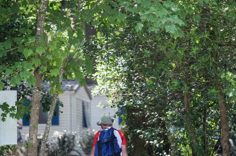 Camping Château de la Forêt Pays de Loire - Saint-Julien-des-Landes visuel 9/10