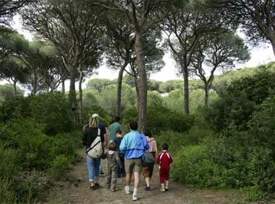 Camping Cieloverde Toscane - Marina di Grosseto visuel 5/11