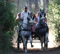 Cieloverde Toscane - Marina di Grosseto visuel 10/11