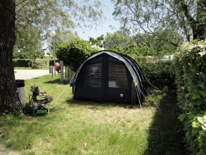 Camping City Provence-Alpes-Côte d'Azur - Arles visuel 6/6