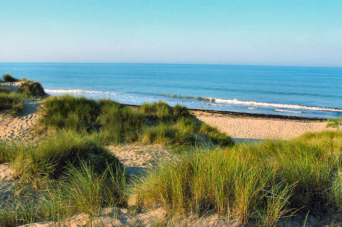 Club plein air Vacanciel de Saint Hilaire de Riez Pays de Loire - Saint-Hilaire-de-Riez visuel 2/7