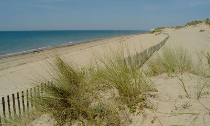 Club plein air Vacanciel de Saint Hilaire de Riez Pays de Loire - Saint-Hilaire-de-Riez visuel 4/7