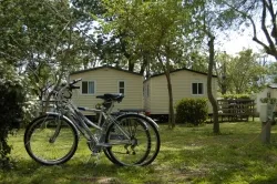 Camping Comanges Languedoc-Roussillon - Argelès-sur-Mer visuel 2/5