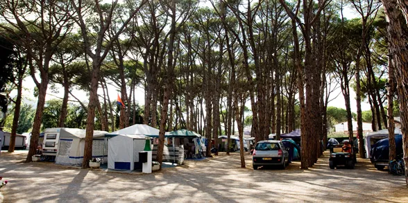 Camping Costa Brava Costa Brava - Sant Antoni de Calonge visuel 5/11