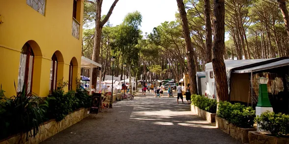 Camping Costa Brava Costa Brava - Sant Antoni de Calonge visuel 9/11