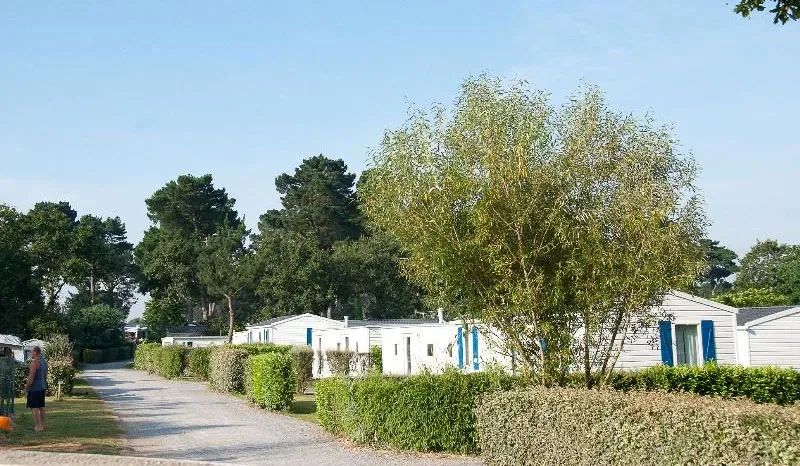 Camping d'Arvor Bretagne - Ambon visuel 7/10