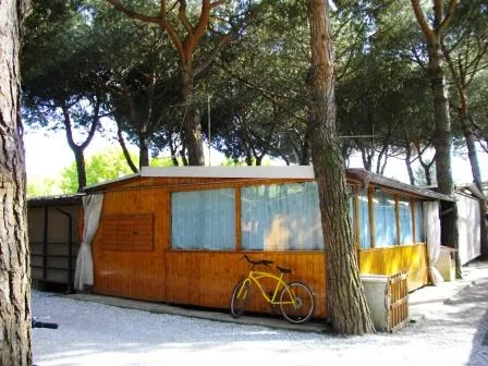 Camping Dal Pino Toscane - Marina di Massa visuel 4/7