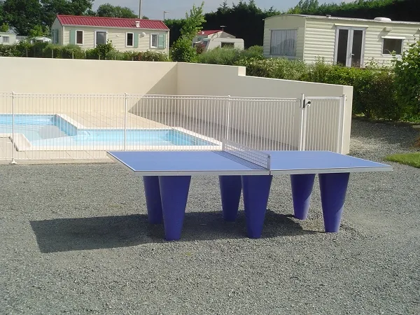 Camping de la Motte Pays de Loire - Vendrennes visuel 5/11