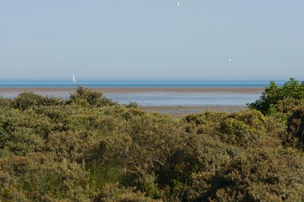 La Plage Nord-Pas de Calais - Marck visuel 9/10