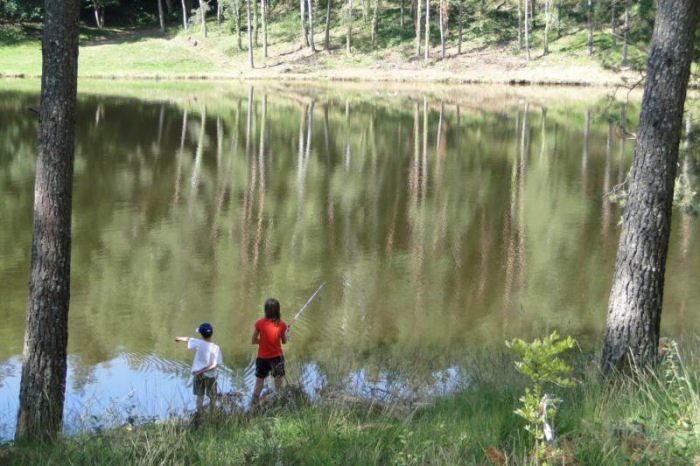 Camping de La Plage Limousin - Soursac visuel 10/10