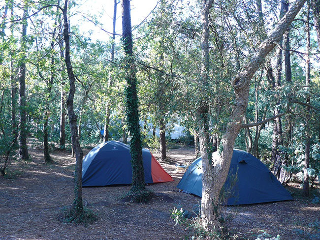 Camping de Moïsan Aquitaine - Messanges visuel 7/8