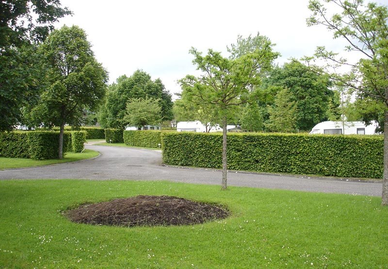 Camping de Vittel Lorraine - Vittel visuel 2/10