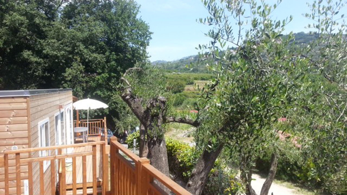 dei Fiori Ligurie - Pietra Ligure visuel 5/11